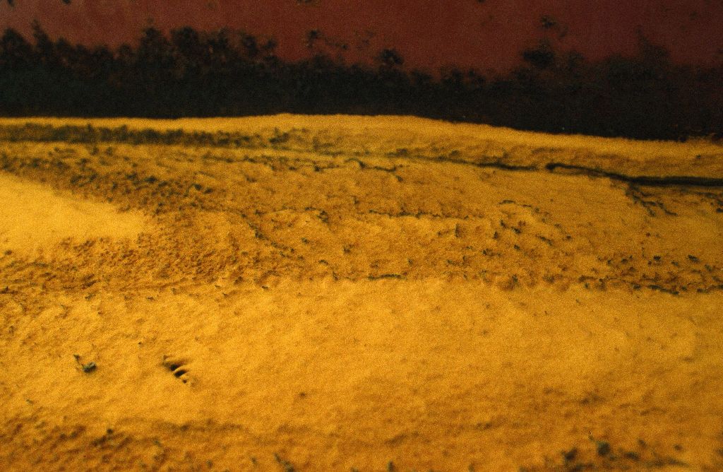 Yellow Fields No. 1, photography